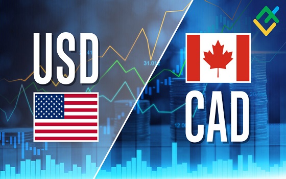 November, 15 - Canadian dollar is standing up to USD